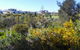 Alkimos Beach Cottage - thumb 3