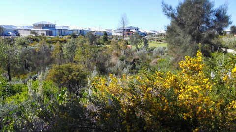 Alkimos Beach Cottage - Accommodation Bookings 3