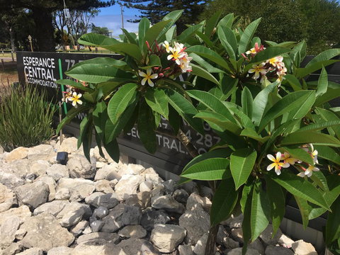 Esperance Central Accommodation - Accommodation Bookings 3