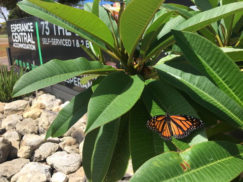 Esperance Central Accommodation - Accommodation Bookings 9