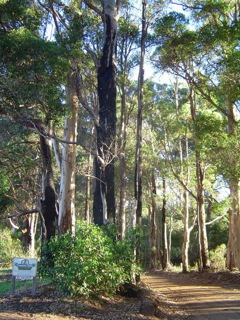 Kangaroo Valley Cottage - Accommodation Bookings 21