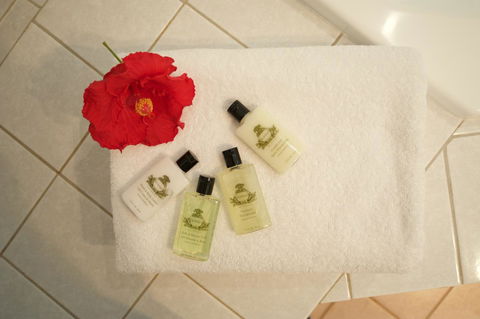 SureStay Hotel By Best Western The Clarence On Melville - Accommodation Bookings 13