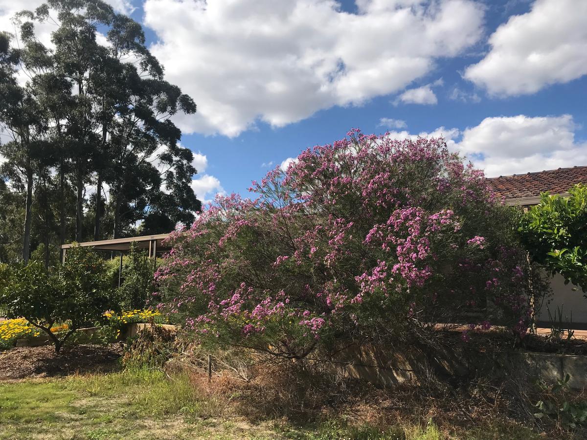 Banjup WA Accommodation Bookings