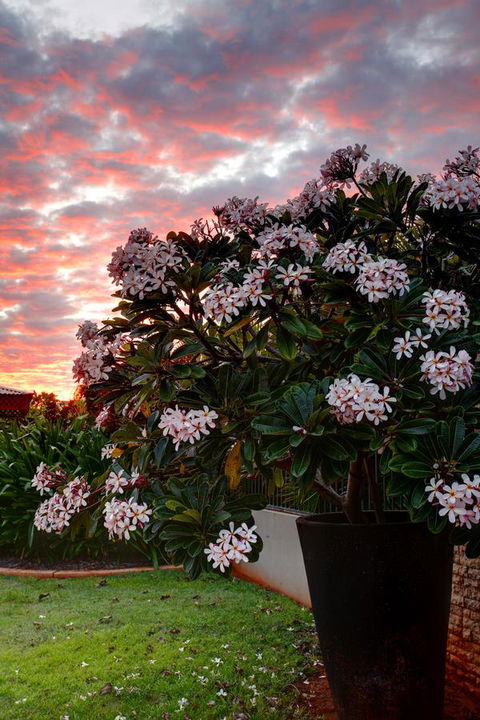 Mantra Frangipani Broome - Accommodation Bookings 35
