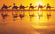 Mantra Frangipani Broome - thumb 6