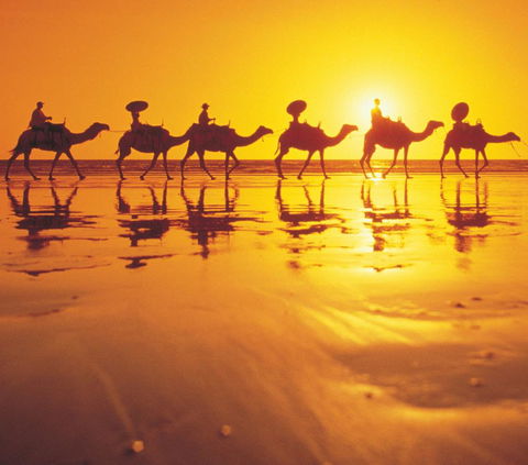 Mantra Frangipani Broome - Accommodation Bookings 6