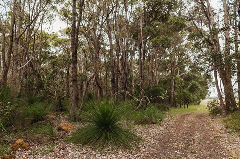 Margaret River Holiday Cottages - Accommodation Bookings 31