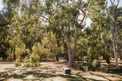Margaret River Holiday Cottages - Accommodation Bookings 16