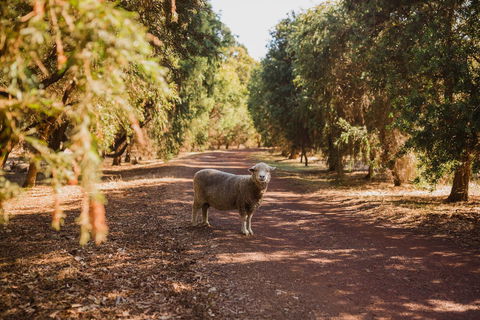 Margaret River Holiday Cottages - Accommodation Bookings 21