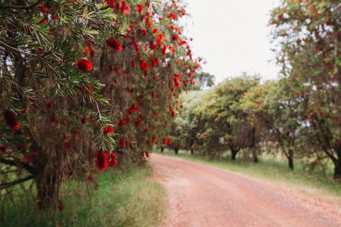 Margaret River Holiday Cottages - Accommodation Bookings 17