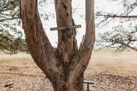 Margaret River Holiday Cottages - Accommodation Bookings 20