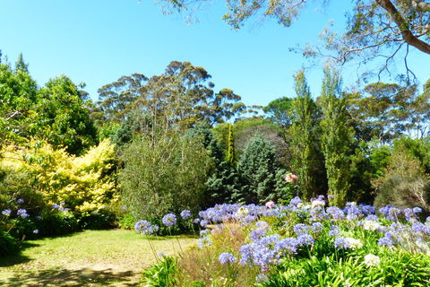 Innisfree Mountain Retreat - Accommodation Bookings 1