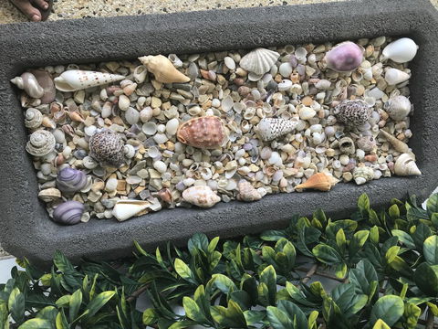 Beach House At SeaScapes.. - Accommodation Bookings 27