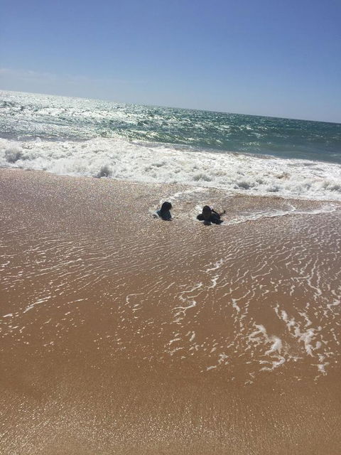 Beach House At SeaScapes.. - Accommodation Bookings 30