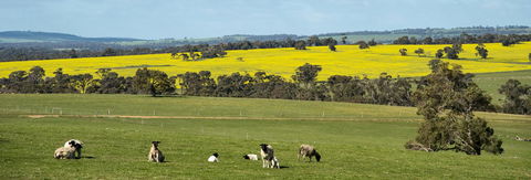 Kendenup Cottages And Lodge - Accommodation Bookings 44