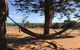 Surf Views - thumb 1