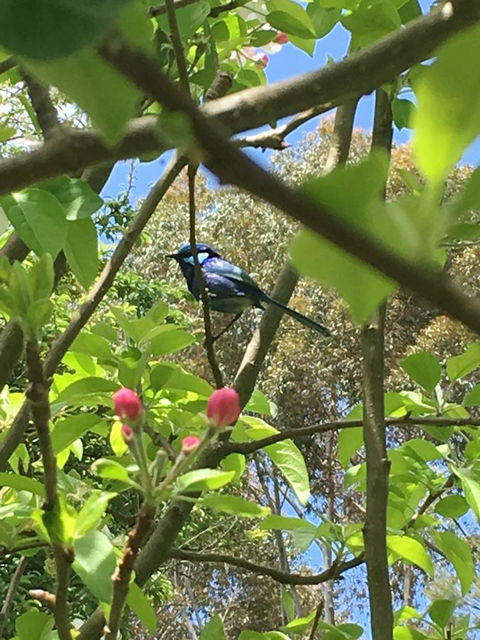 Tegwan's Nest Holiday Home - Accommodation Bookings 19