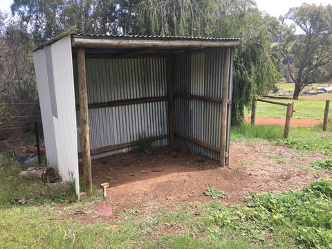 Tegwan's Nest Holiday Home - Accommodation Bookings 36