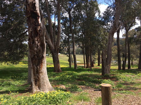 Tegwan's Nest Holiday Home - Accommodation Bookings 28