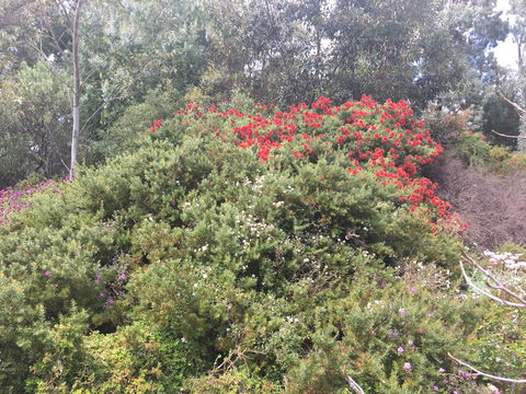 Tegwan's Nest Holiday Home - Accommodation Bookings 42