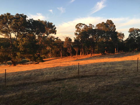 Tegwan's Nest Holiday Home - Accommodation Bookings 18