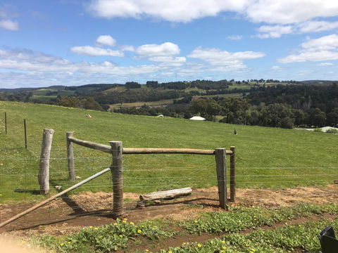 Tegwan's Nest Holiday Home - Accommodation Bookings 39