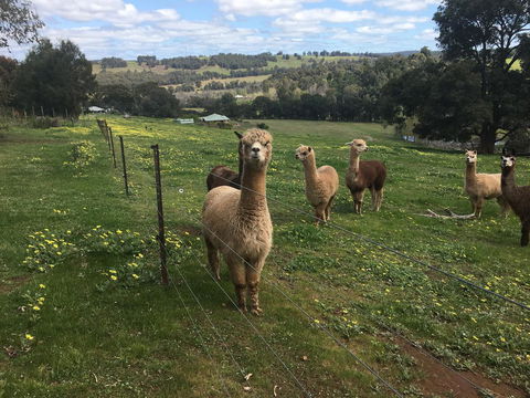 Tegwan's Nest Holiday Home - Accommodation Bookings 44