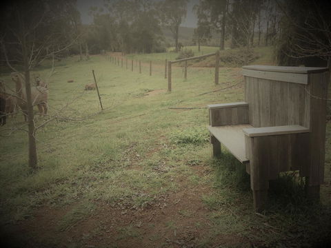 Tegwan's Nest Holiday Home - Accommodation Bookings 43