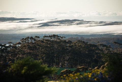 Celestine Retreat - Accommodation Bookings 13