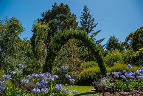 Celestine Retreat - Accommodation Bookings 15