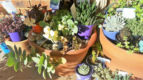 Quest Yelverton Kalgoorlie - Accommodation Bookings 11