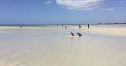 Beach House Dunsborough - Accommodation Bookings 22