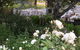 Applegate Lane Chalet - thumb 22