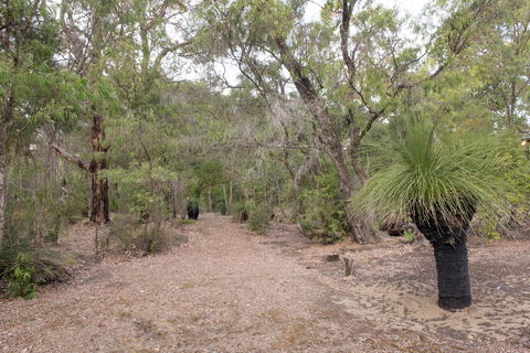 53 Martina Drive - Accommodation Bookings 30