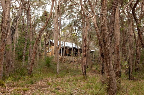 Denmark Forest Retreat - Accommodation Bookings 27