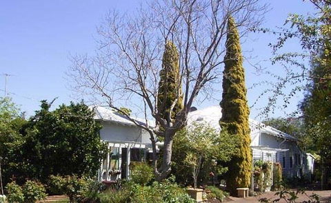 Jacaranda Guest House - Accommodation Bookings 37