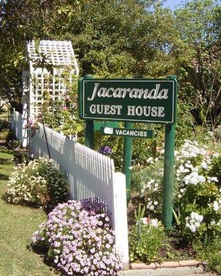 Jacaranda Guest House - Accommodation Bookings 43