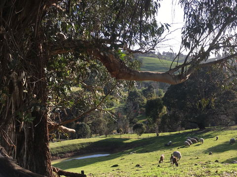 Balingup Highview Chalets - Accommodation Bookings 13