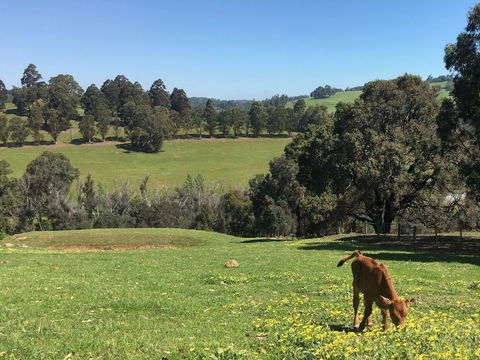 Balingup Highview Chalets - Accommodation Bookings 23