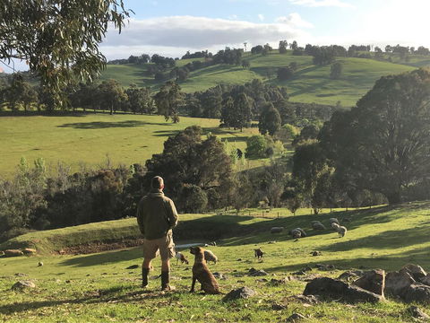 Balingup Highview Chalets - Accommodation Bookings 27