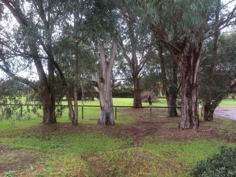 Nivalis Bed And Breakfast - Accommodation Bookings 29