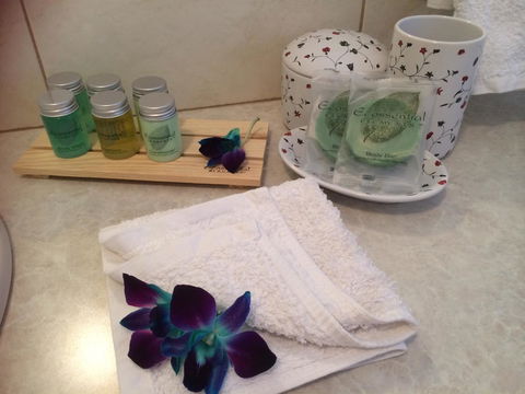 Nivalis Bed And Breakfast - Accommodation Bookings 15