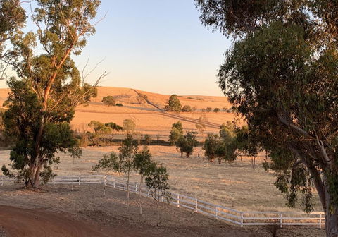 Daisy Cottage - Accommodation Bookings 4