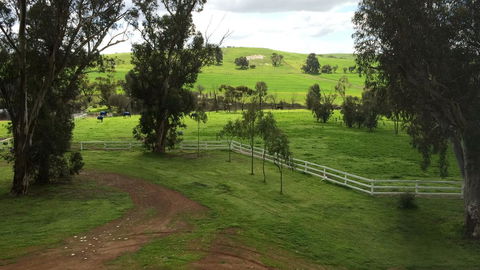 Daisy Cottage - Accommodation Bookings 22
