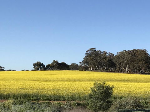 Daisy Cottage - Accommodation Bookings 6