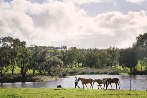 Daisy Cottage - Accommodation Bookings 28