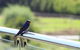 Bickley Valley Cottage - thumb 9