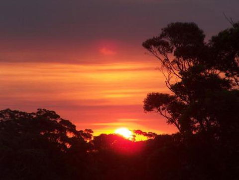 Tennessee Hill Chalets - Accommodation Bookings 9