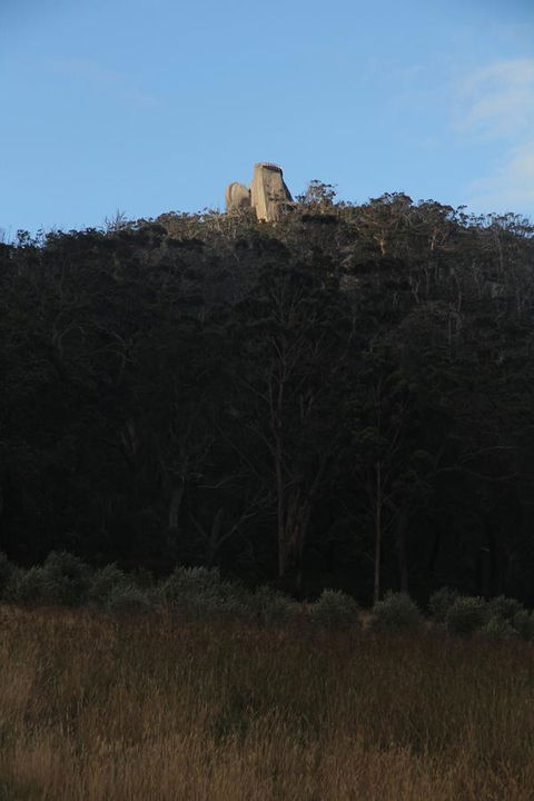 Tanen Farm - Accommodation Bookings 9