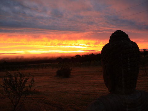 Tanen Farm - Accommodation Bookings 12